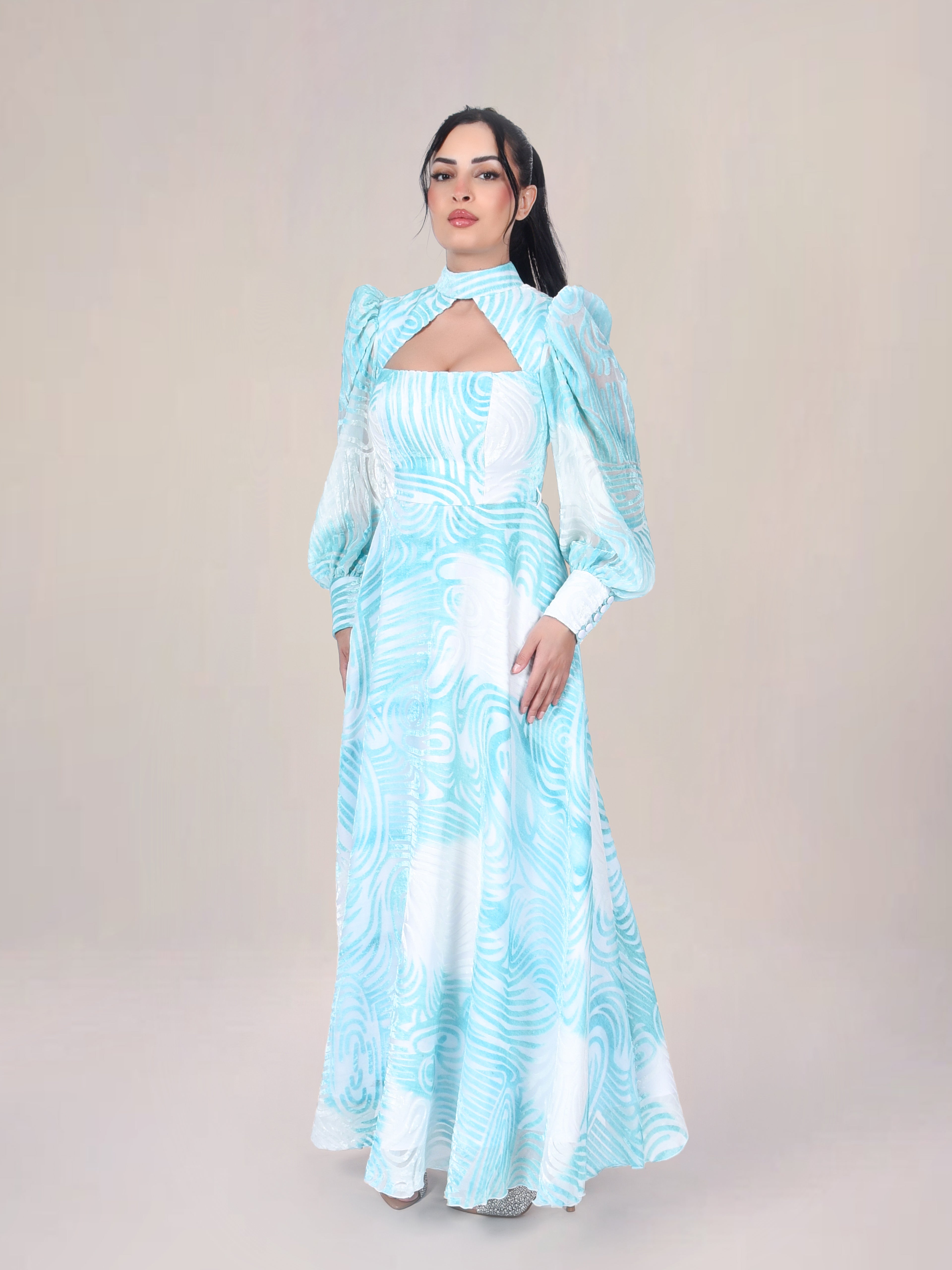The Motion Burnout Velvet Evening Dress