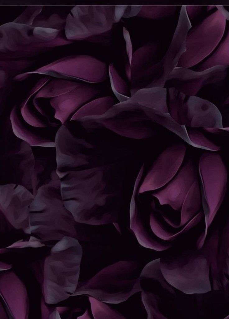 Drapé Image Carousel