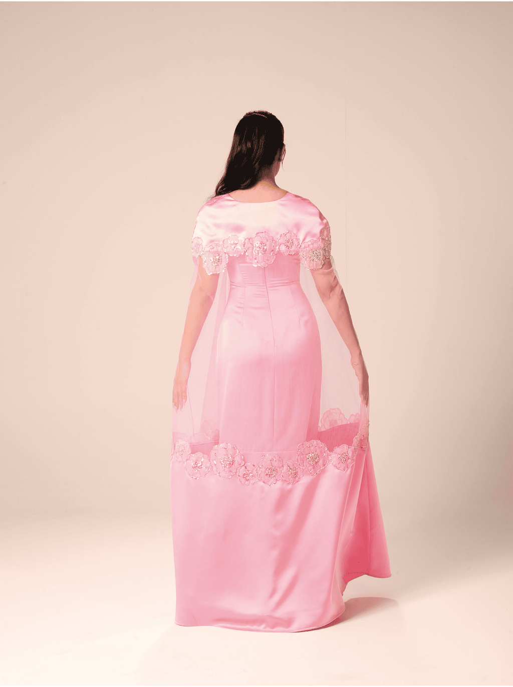 The Blush Veil Silk and Net Evening Dress